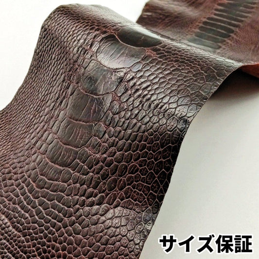 駝鳥　革素材