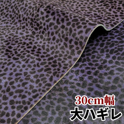 安　けがわ