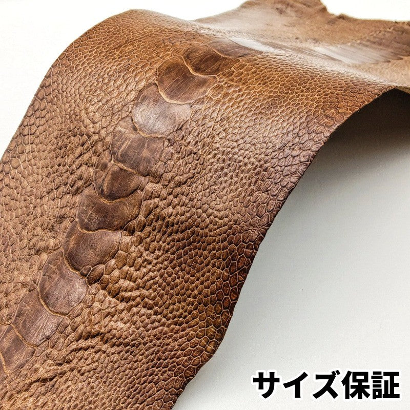 駝鳥　革素材