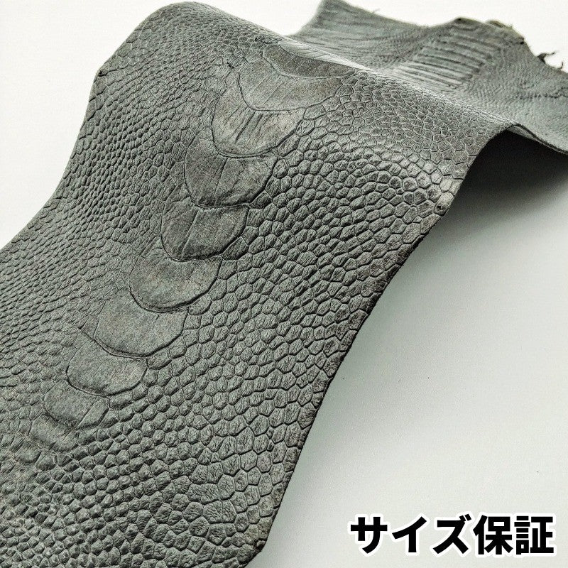 駝鳥　革素材