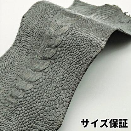 駝鳥　革素材