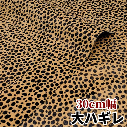 安　けがわ