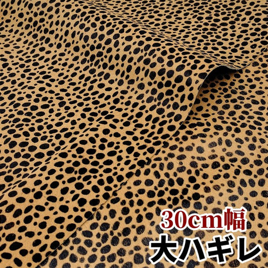 安　けがわ