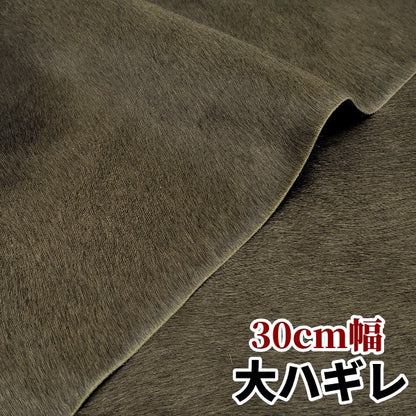 安　けがわ