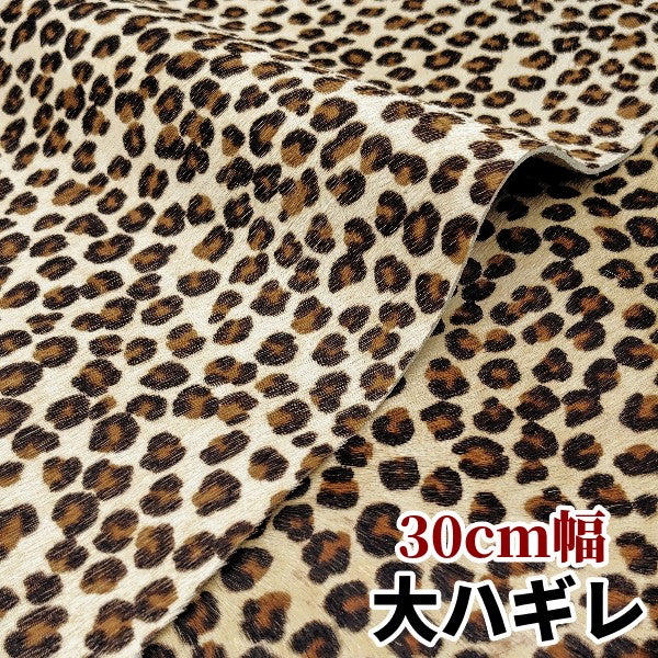 安　けがわ