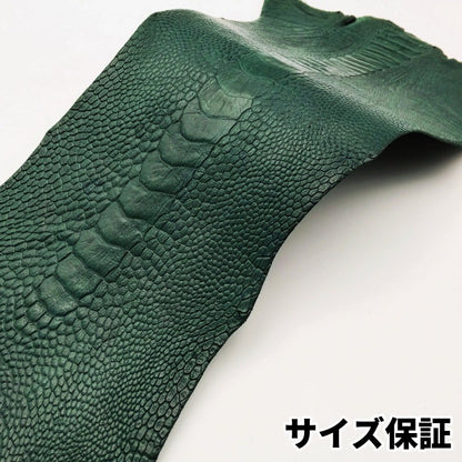 駝鳥　革素材
