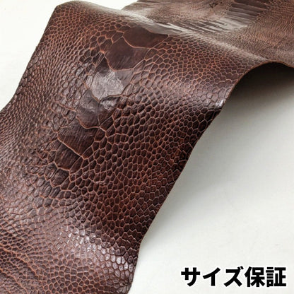 駝鳥　革素材