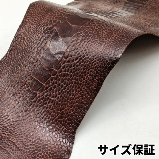 駝鳥　革素材