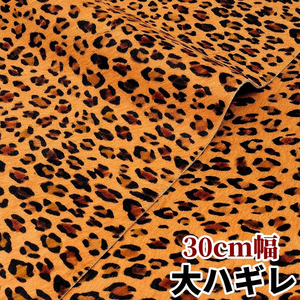 安　けがわ