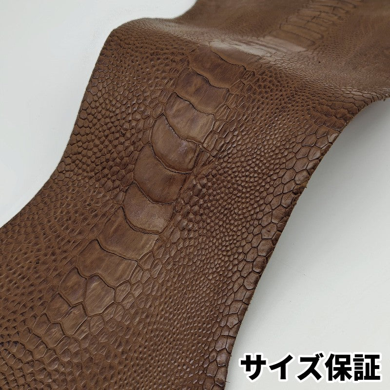 駝鳥　革素材