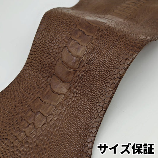 駝鳥　革素材