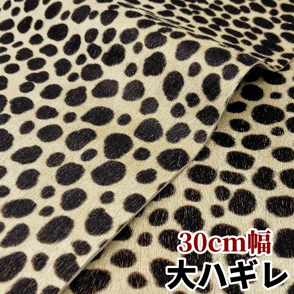 安　けがわ