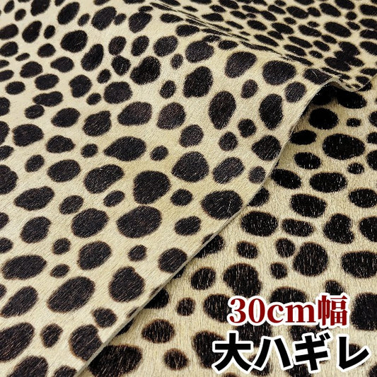安　けがわ