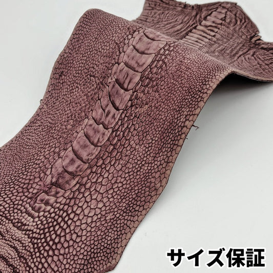 駝鳥　革素材