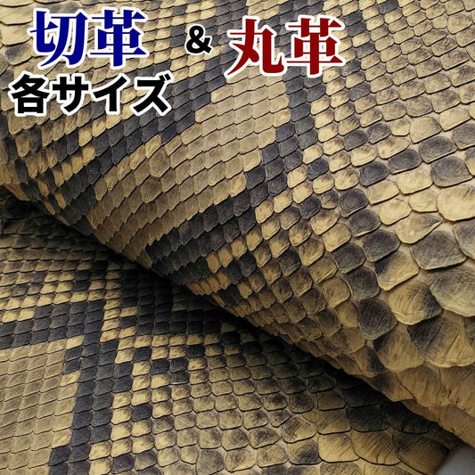 蛇　革素材