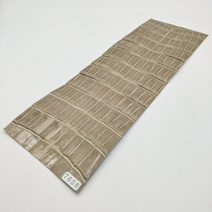 ワニ革/ポロサスクロコ【33×11cm/0.8mm】グレージュ/ツヤ強/Aランク/w7658