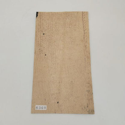 サメ革【11×21cm/1.8mm】バニラ谷黒/Sランク/s8360