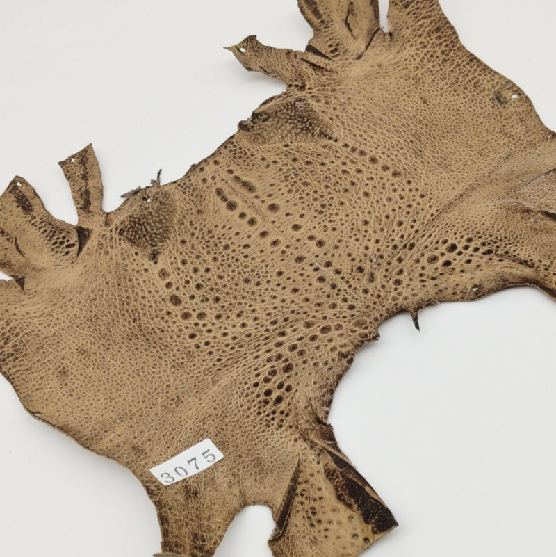 カエル革【最大幅20cm】カフェオレ/ ツヤ有/ fr3075