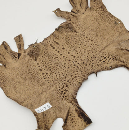 カエル革【最大幅20cm】カフェオレ/ ツヤ有/ fr3075