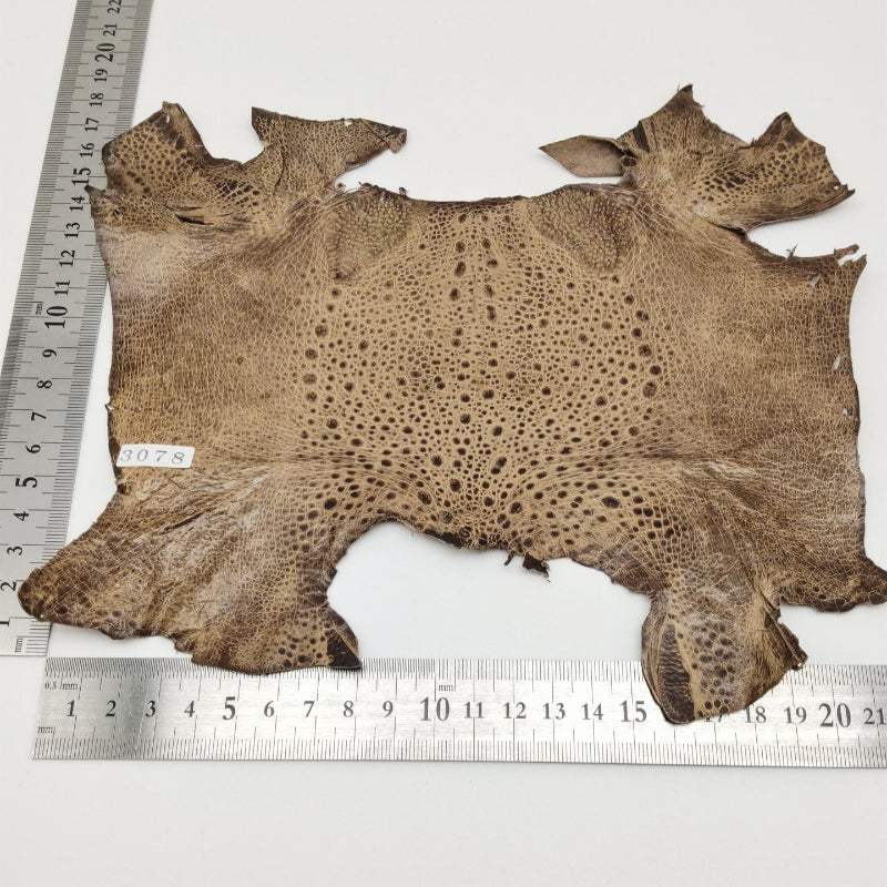 カエル革【最大幅21cm】カフェオレ/ ツヤ有/ fr3078