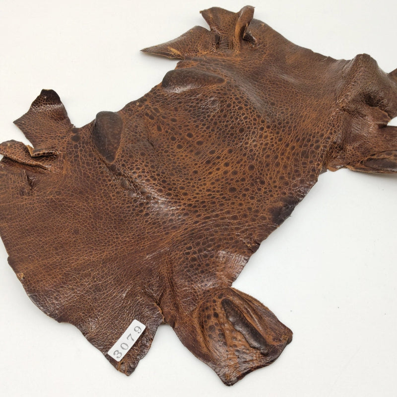 カエル革【最大幅23cm】チョコレート/ ツヤ有/ fr3079