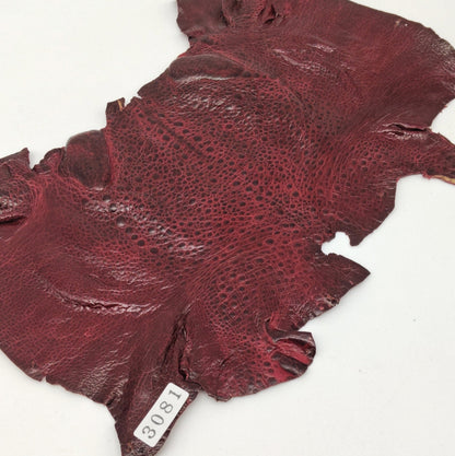 カエル革【最大幅22cm】ワイン/ ツヤ有/ fr3081