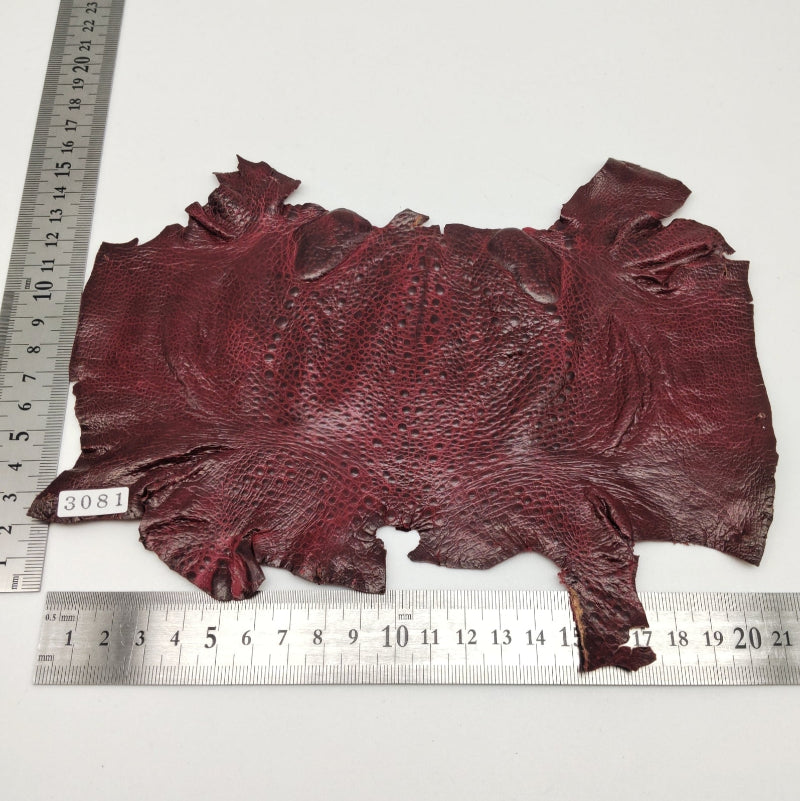 カエル革【最大幅22cm】ワイン/ ツヤ有/ fr3081