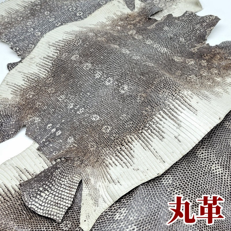 蜥蜴　革素材