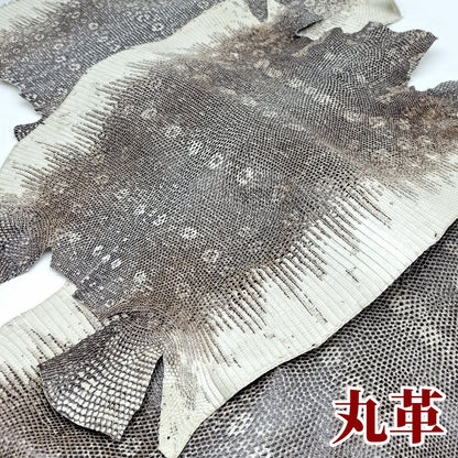 蜥蜴　革素材