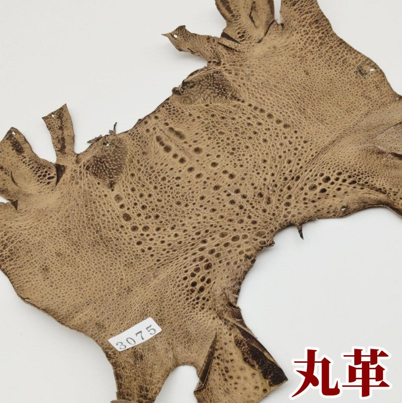 かえる　革素材