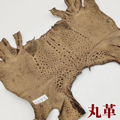 かえる　革素材