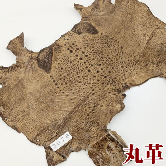 かえる　革素材