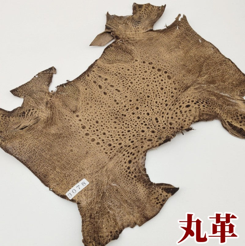 かえる　革素材