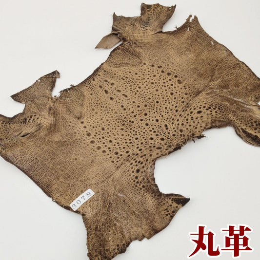 かえる　革素材