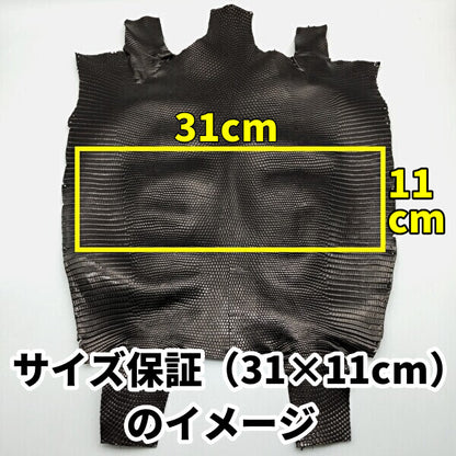 トカゲ革【最大幅約33cm】ワイングラデーション/腹割/8529