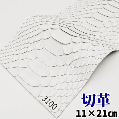 蛇　革素材
