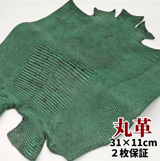 蜥蜴　革素材