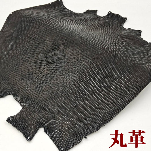 蜥蜴　革素材