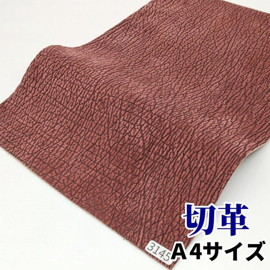 鮫　革素材