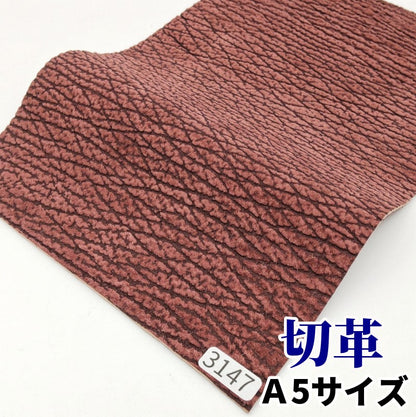 鮫　革素材