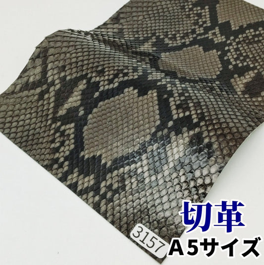 蛇　革素材