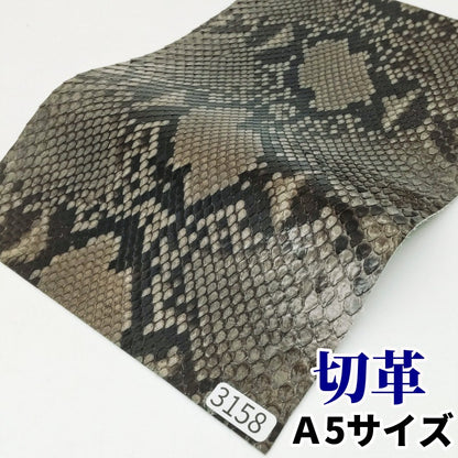 蛇　革素材