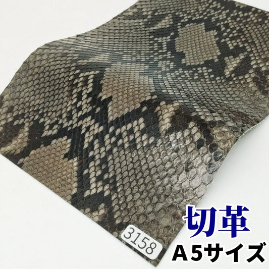 蛇　革素材