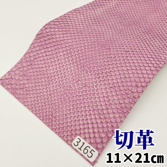 蛇革　素材