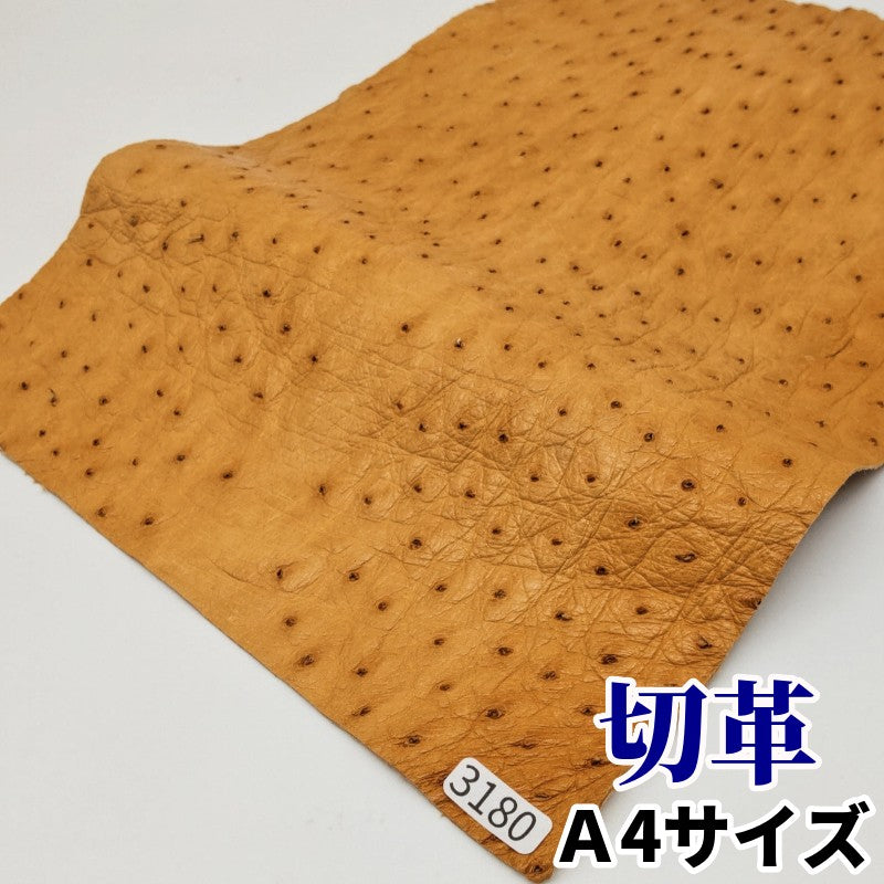 駝鳥　革素材