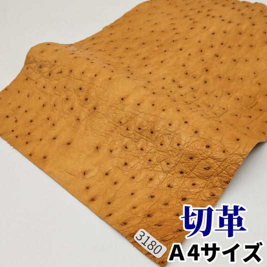 駝鳥　革素材