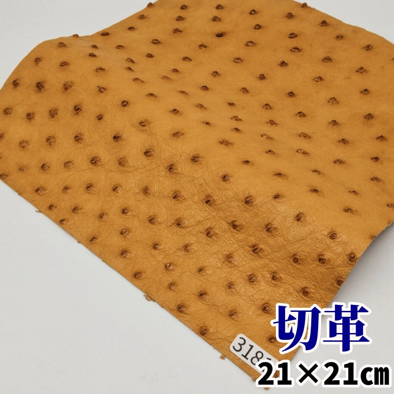 駝鳥　革素材
