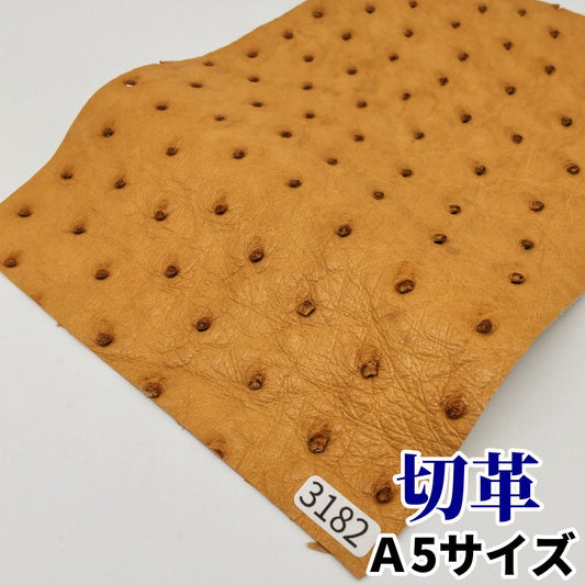 駝鳥　革素材