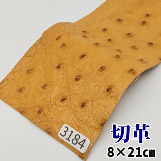 駝鳥　革素材