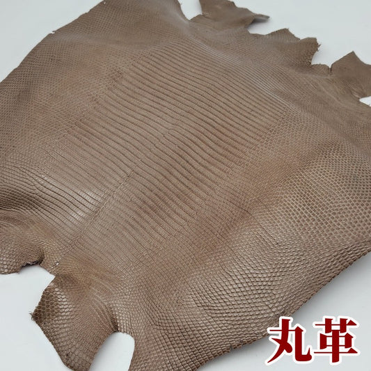 蜥蜴　革素材